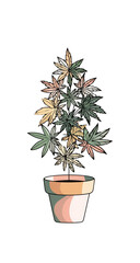 A stylized cannabis plant in a terracotta pot.  