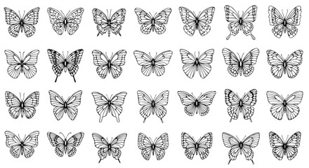 A delicate array of intricately illustrated butterflies showcases the graceful beauty and symmetry of nature. These illustrations evoke the ethereal allure of these winged wonders. 