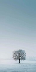 Solitary Winter Tree Minimalist Nature Photography
