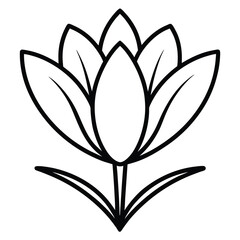 crocus flower outline icon