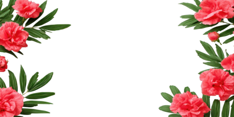 Pink flowers and tropical leaves frame a black background