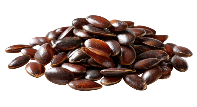 Pile of dark brown, oblong seeds (4)