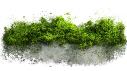 Abstract representation of a landscape, possibly a region covered in vegetation and light snow or frost