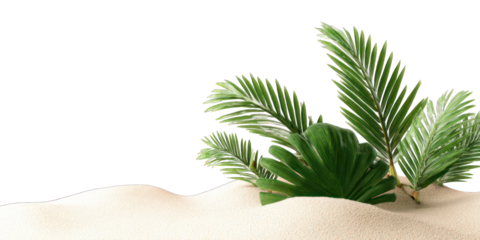 Tropical plants on a sandy beach