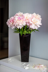 Colourful peonies flowers arranged in a sleek black vase, showcasing vibrant petals and lush green leaves, creating a stunning floral centerpiece for home decor