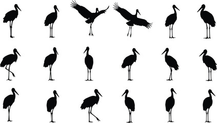 Silhouette of stork birds in various poses, standing and flying, isolated on white background, wildlife illustration, birdwatching design element