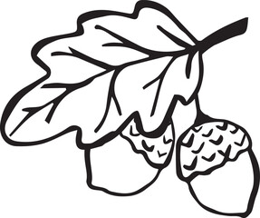 Simple vector drawing of acorns and an oak leaf in black and white representing autumn. Illustration for autumn decor