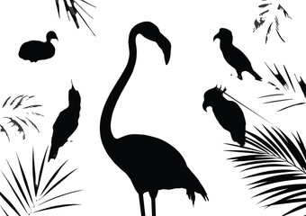 Fototapeta premium Silhouettes of exotic tropical birds in flight and standing, including flamingo and heron, with palm leaves, wildlife vector illustration