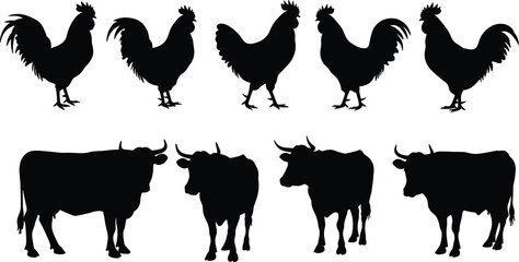 Silhouettes of farm animals, roosters and bulls, isolated on white background, livestock illustration, rural farming concept, graphic design element