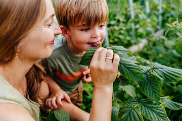 Naklejka premium Generated image