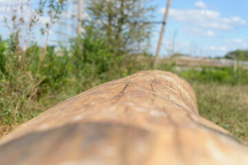 Fototapeta premium shallow depth of field focus on a large log bench outdoors in a park