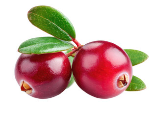 Two vibrant, glossy, red cranberries, with fresh green leaves attached to a stem