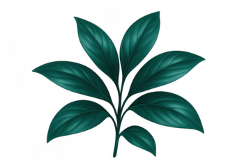 Verdant symmetrical foliage pattern displaying intricate botanical arrangement, presenting natural design element with clean transparent backdrop