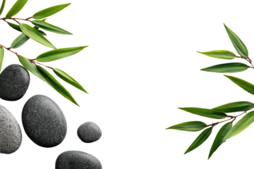 Spa stones and leaves on black