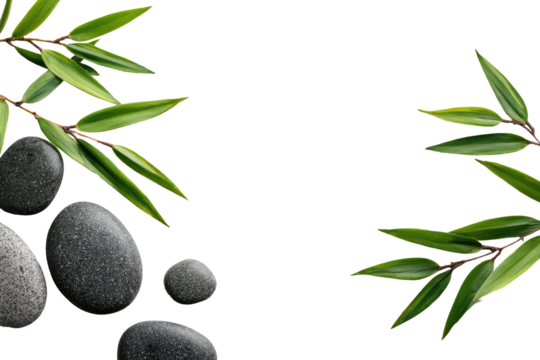 Spa stones and leaves on black