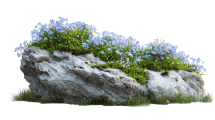 A rock outcrop with vibrant flowers