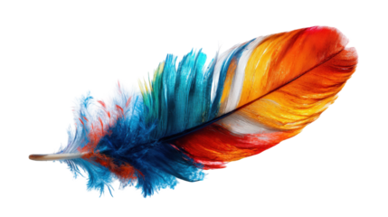 Vibrant multicolored feather on black background