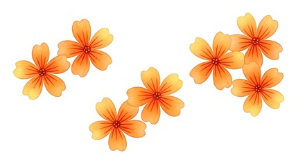 Obraz premium Set of orange flowers isolated on white background hand drawn floral illustration perfect for wedding invitations, greeting cards