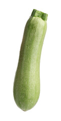 One fresh ripe zucchini isolated on white