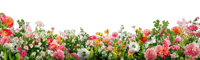 Vibrant floral display