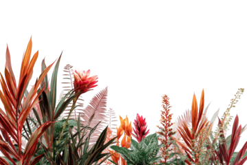 Tropical floral border in vibrant colors