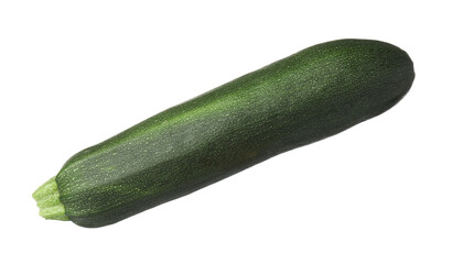 One fresh ripe zucchini isolated on white