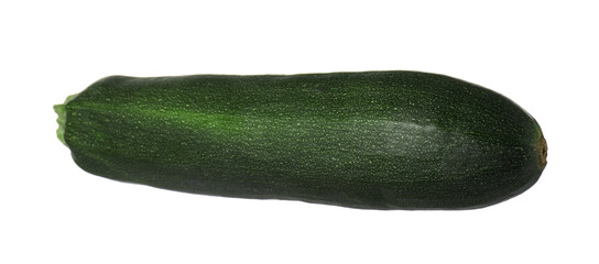 One fresh ripe zucchini isolated on white