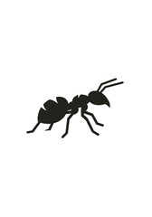 Black ant icon in minimalist design  