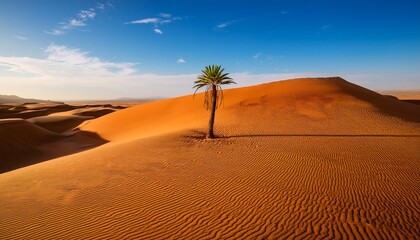 a serene desert landscape featuring a single palm tree amidst rolling sand dunes