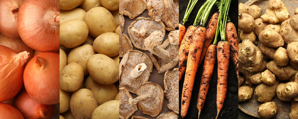 Collection of food products with earthy taste, collage