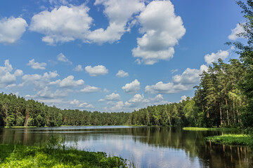 Fototapeta premium Tranquil Lake Surrounded by Green Forest