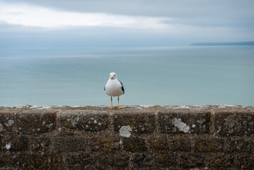 Mont Saint Michel the the incredible abbey, later prison, in the middle of the sea