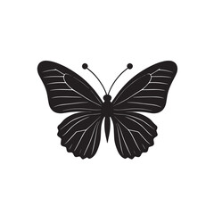 Butterfly Silhouette Black and white illustration