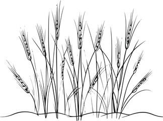 Clean black and white line art of rice paddy stalks, clear outline, minimal details, vector-friendly 1