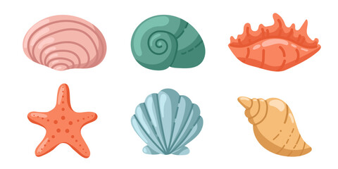 Set of seashells and starfish. Various seashells: Florida snails, scallops, cockles, mussels, cowries. Various tropical mollusks, shells, snails.