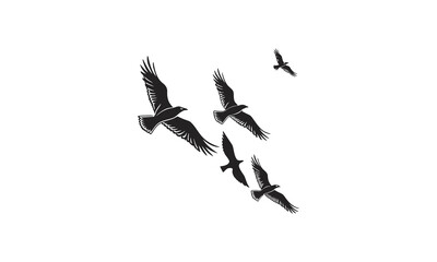 Freedom Flight