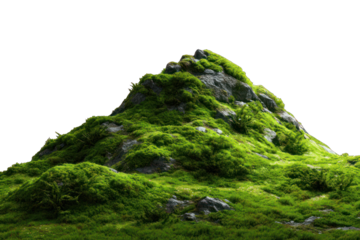 Lush green mountain peak against black background