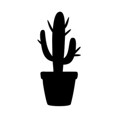 Fototapeta premium cactus in flowerpot