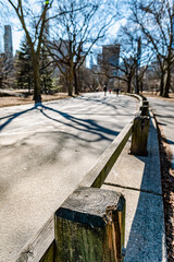 Central Park path on clear day. Visitors stroll along a tree-lined path in Central Park, enjoying a sunny day amidst the urban landscape.