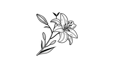 Lily Flower Silhouette