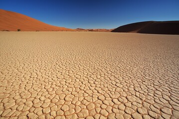 Traveling through desert roads is a great adventure and a great pleasure.