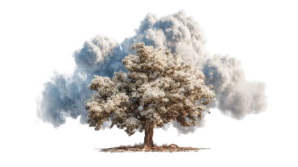 A tree stands within a cloud