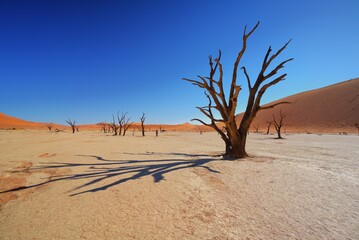 Traveling through desert roads is a great adventure and a great pleasure.