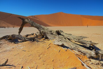 Traveling through desert roads is a great adventure and a great pleasure.