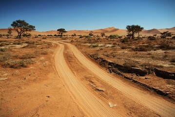 Traveling through desert roads is a great adventure and a great pleasure.