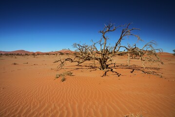 Traveling through desert roads is a great adventure and a great pleasure.