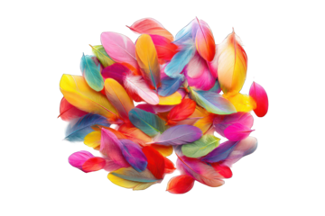 Vibrant colorful feathers clustered