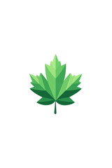 Green, stylized maple leaf graphic