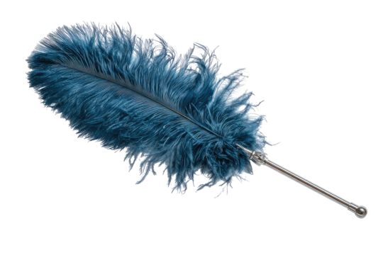 A single, vibrant, deep teal-blue ostrich feather, with a metallic silver shaft