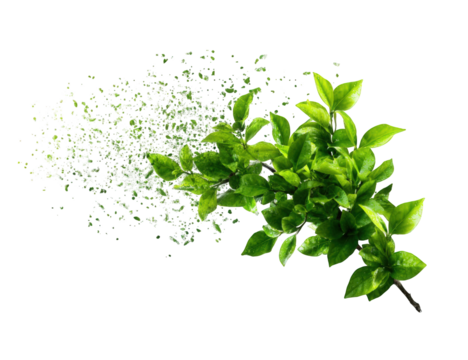 Abstract image of leaves dissolving into particles